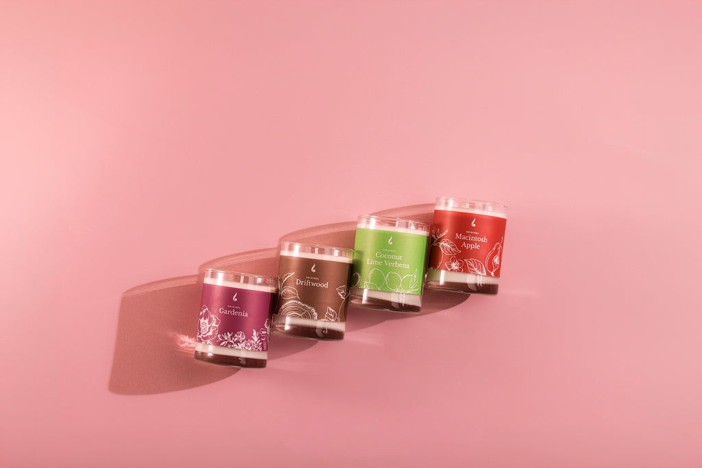 The Spring Collection